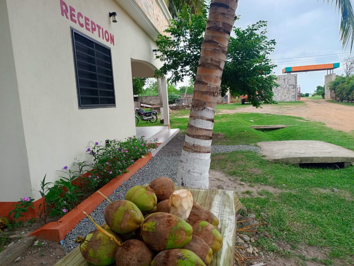 Tour and a playground